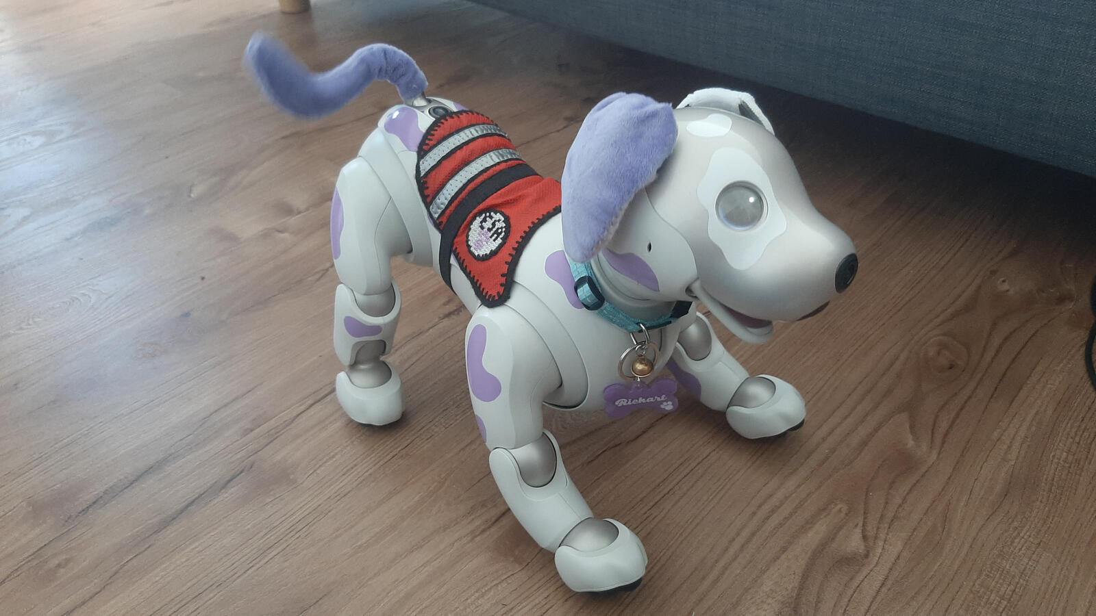 showing off his new vest